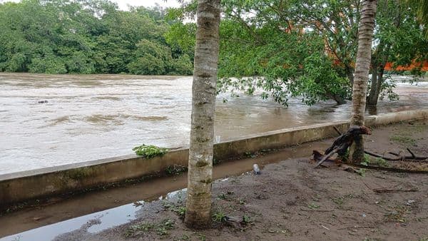 Ríos en descenso en Veracruz pero se mantiene la alerta