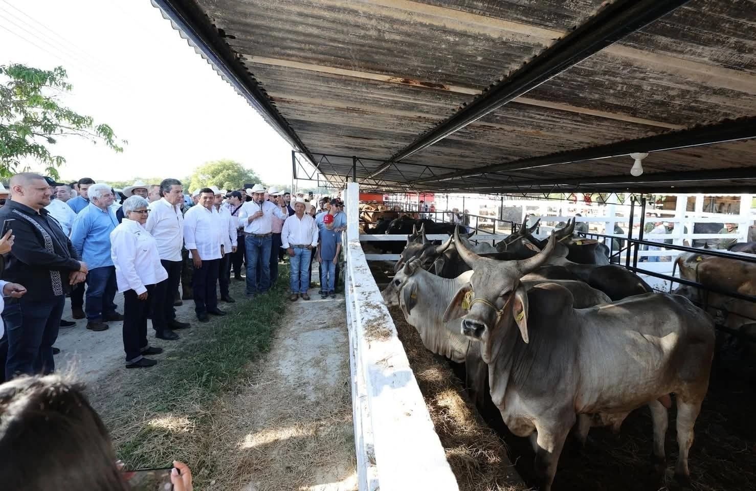 Aplaude Sedap reapertura de frontera de EU a ganado mexicano