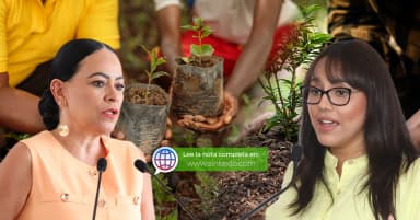 ImagenPrometen reforestar Tabasco