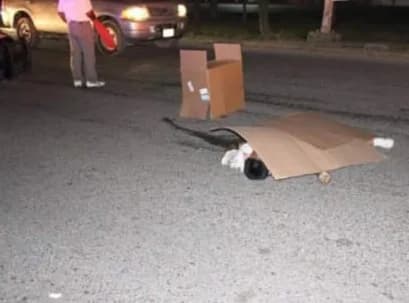 Atropellan a niños de 13 años en periférico