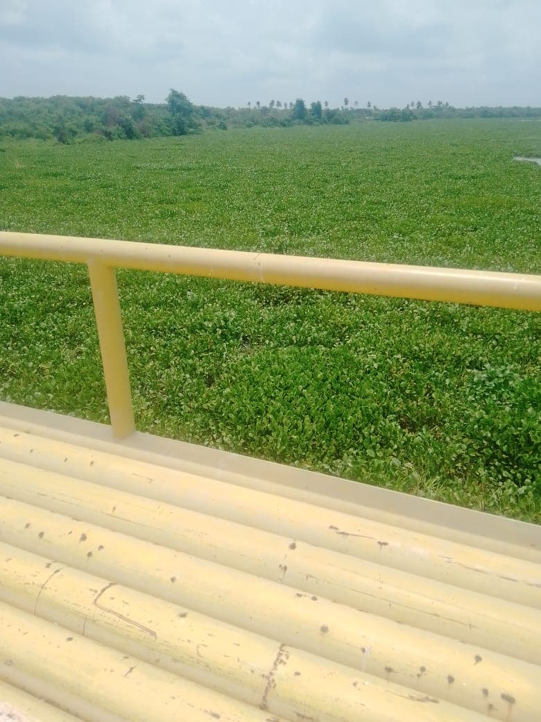 Exigen desazolve de canal pesquero