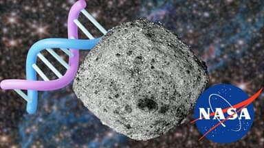 ImagenEncuentra NASA en asteroide el 'Secreto' de la Vida 