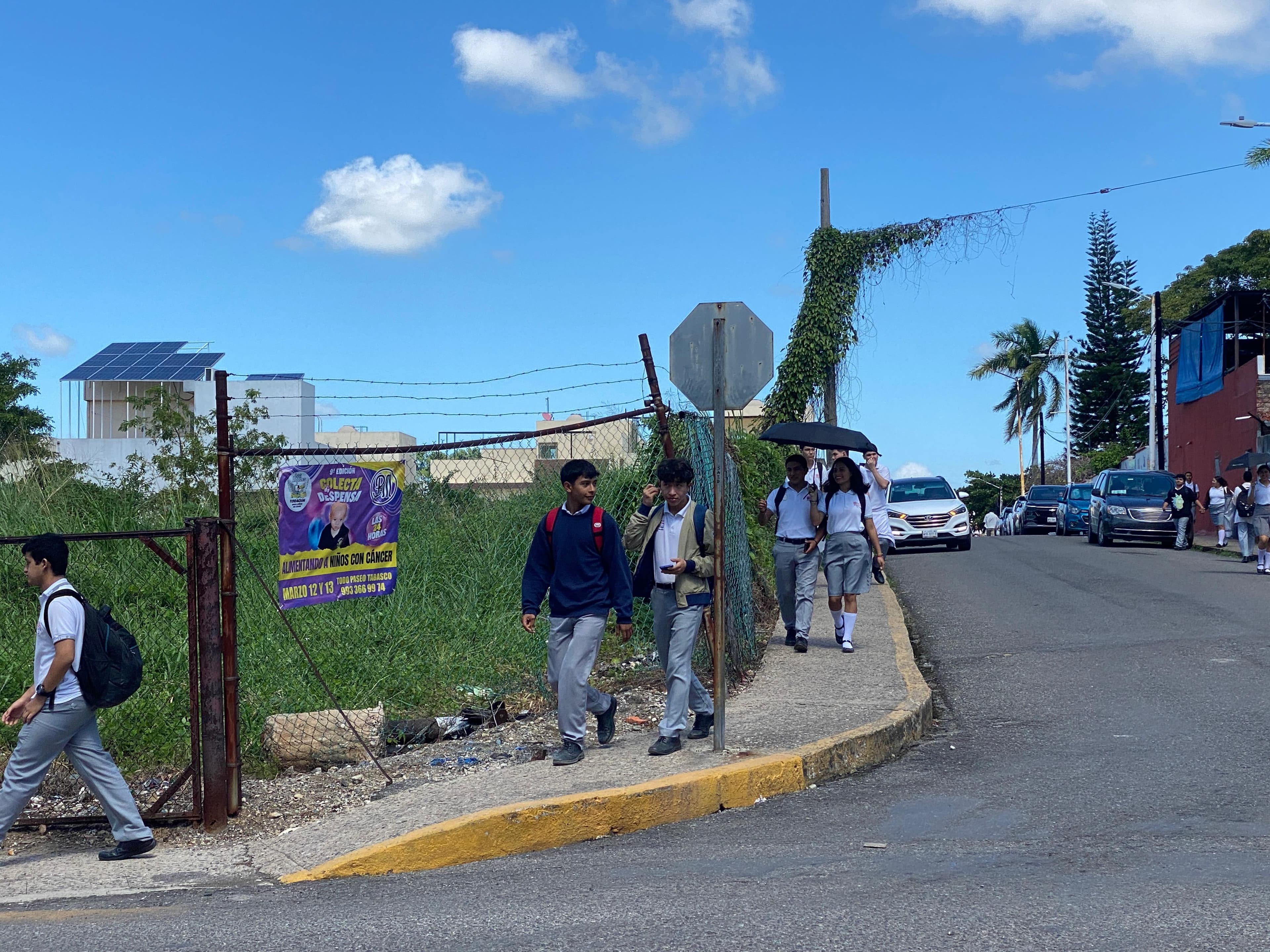 Desinterés de jóvenes en elección judicial 