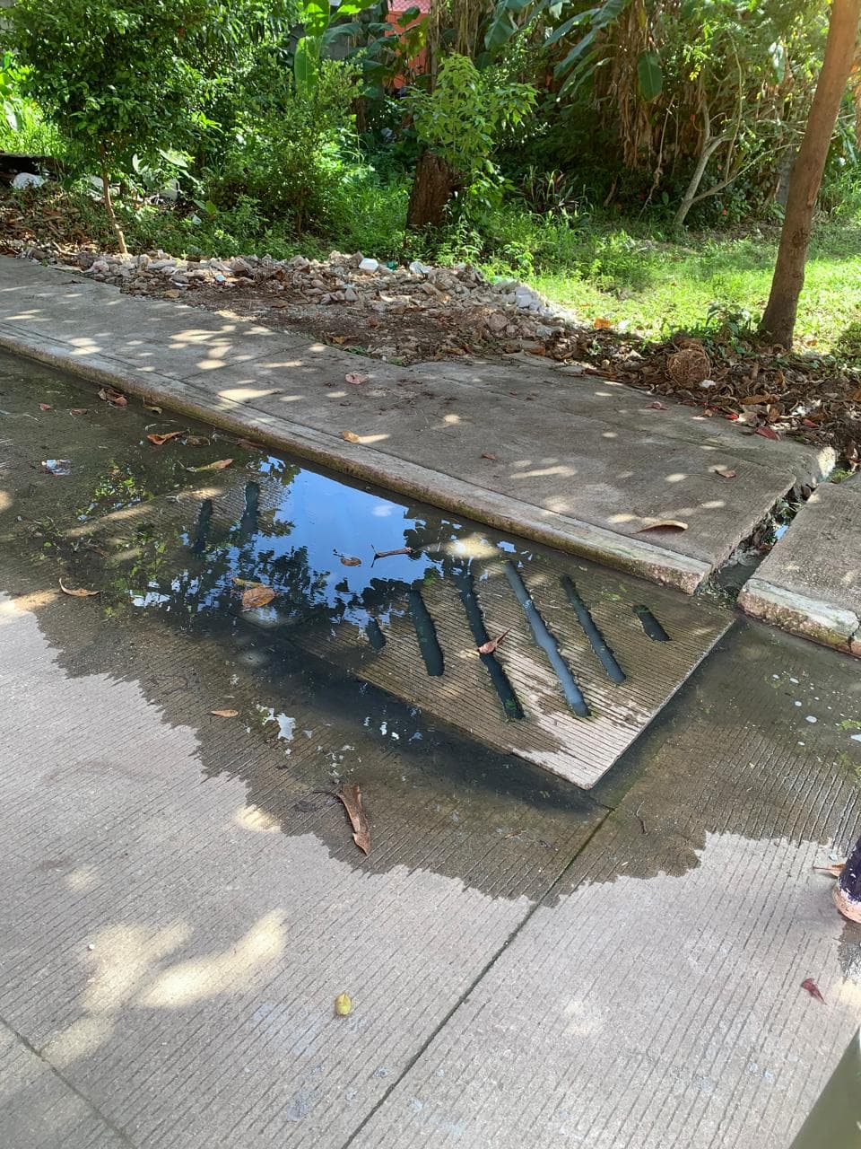 Inundada de aguas negras la colonia 'Pino Suárez 2ª'