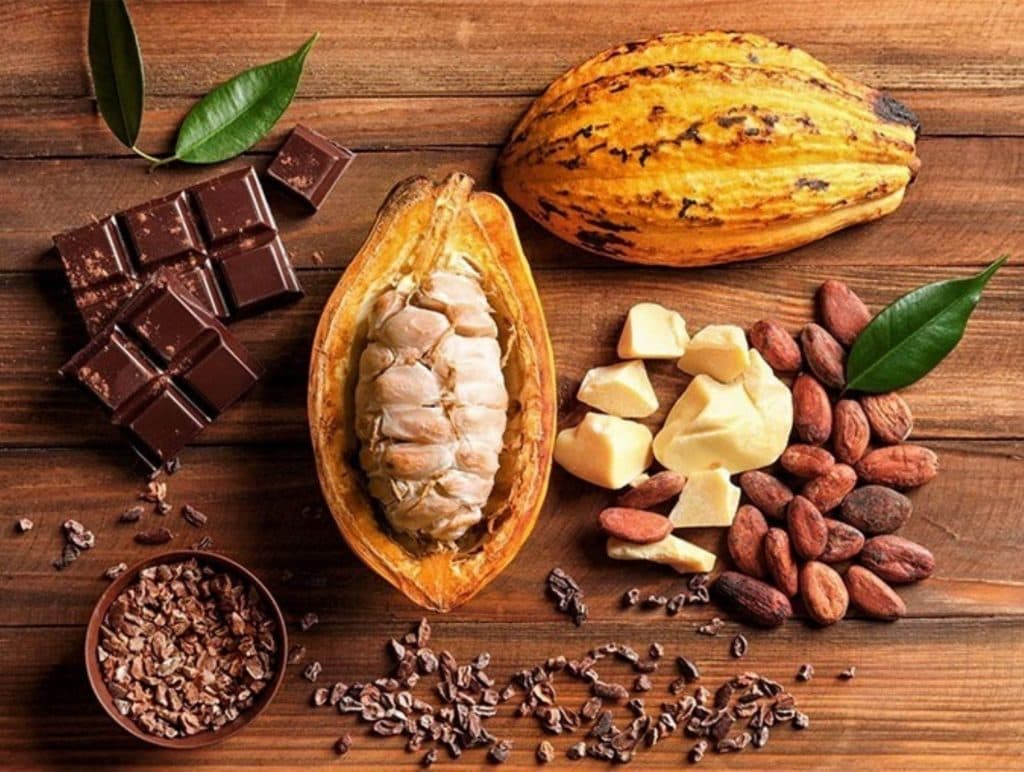 Otorga IMPI valor geográfico a Cacao tabasqueño y  Aguacate michoacano