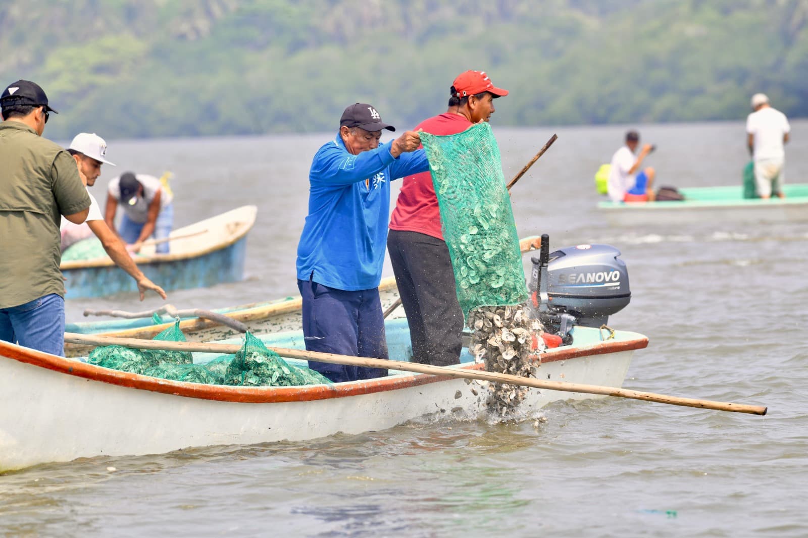 Busca Tabasco ser primer lugar nacional en producción de ostión 