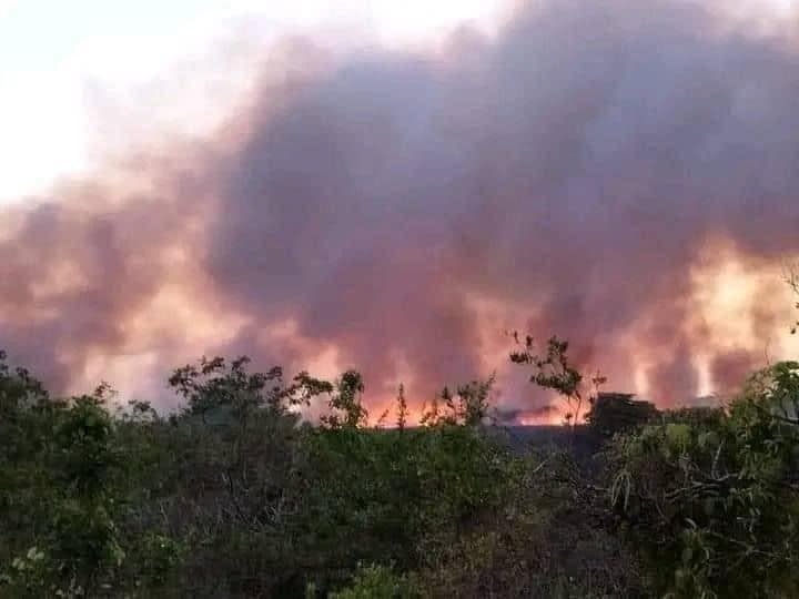 Devora cientos de hectáreas incendio en Veracruz