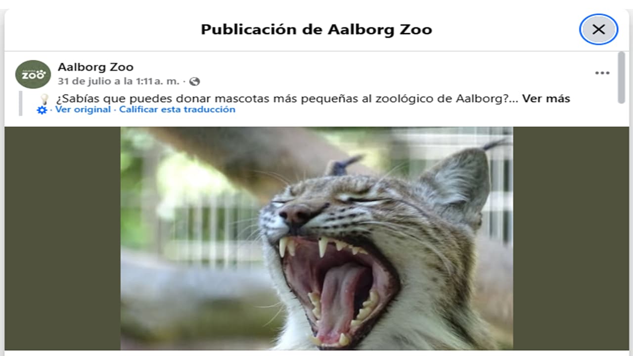 Zoológico pide”mascotas indeseables” para sus depredadores