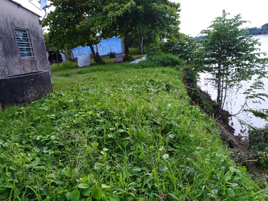 Samaria devora al ejido Colima