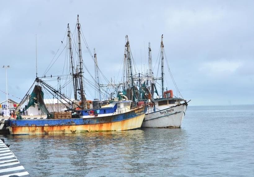 Actividad pesquera en riesgo de extinguirse