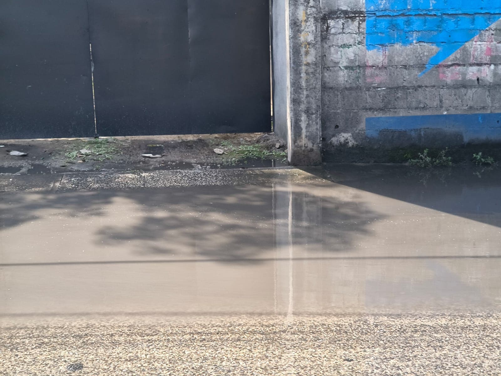 Fuerte fuga de agua en Los Sauces afecta casas y negocios 