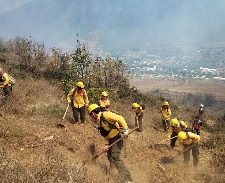 Trabajan en controlar y sofocar incendio forestal en Aquila