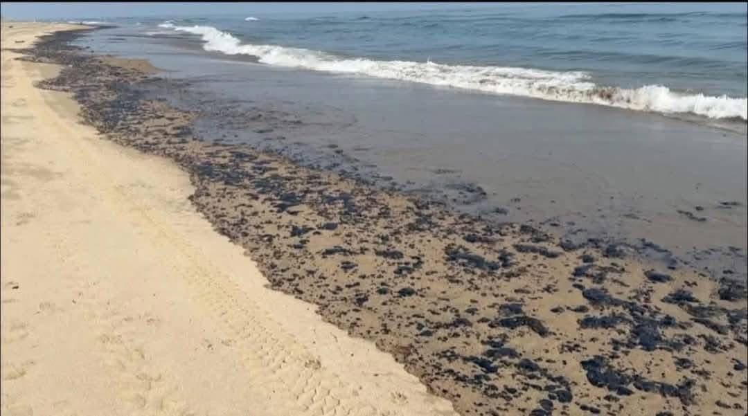 Desatendió Gobierno alerta sobre desastre ecológico en zona costera, acusa oposición
