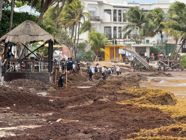 Sargazo impacta a negocios en playas de Quintana Roo