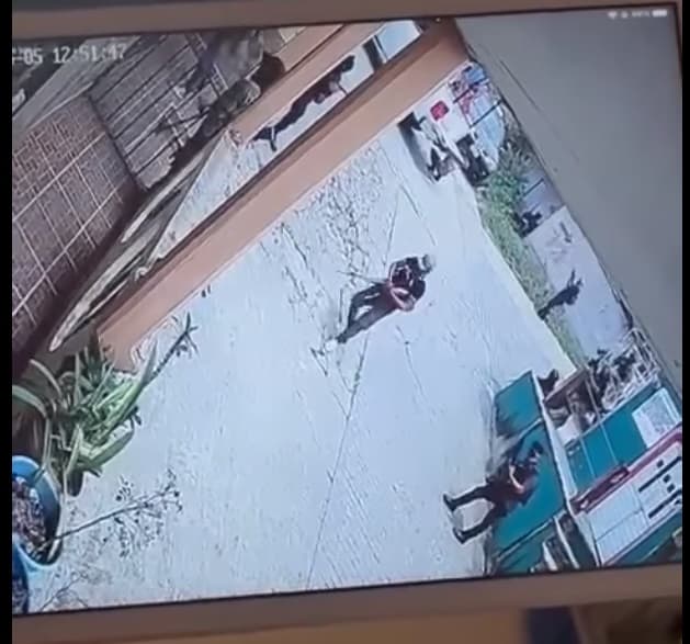 26 horas de terror en el ejido Tila dejan 9 habitantes sin vida