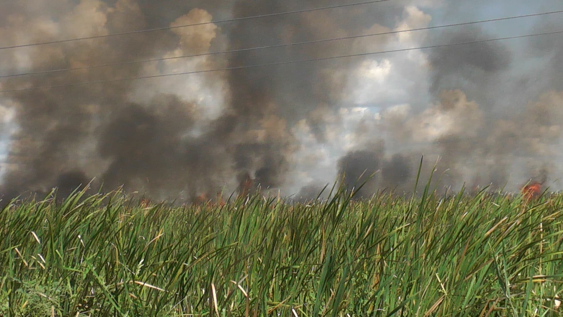 Devora incendio 51 has. en Pantanos de Centla 