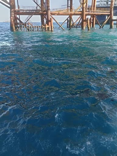 ImagenAlarma en sonda de Campeche por derrame de crudo 