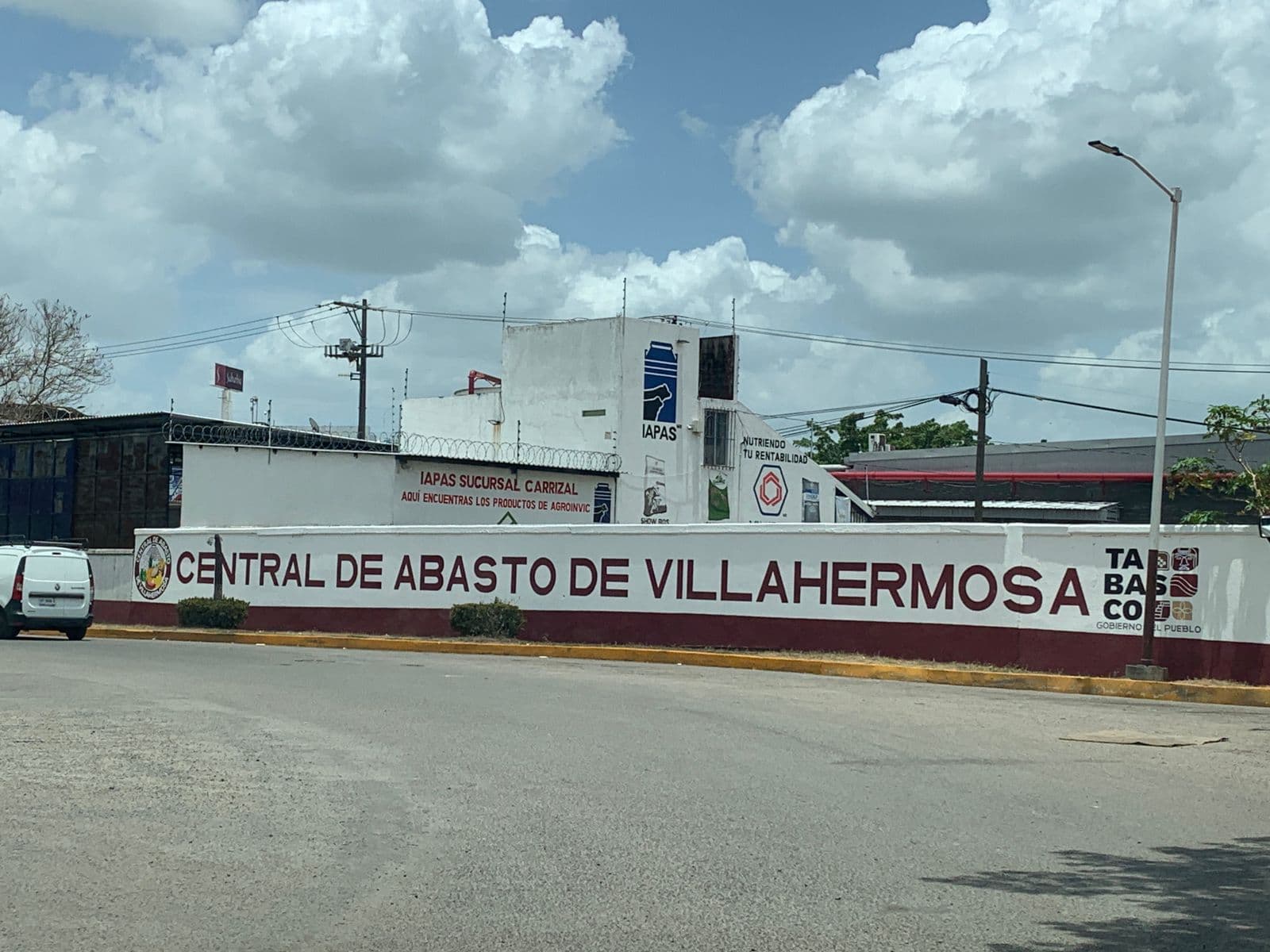 Cilantro, básico en cocinas, no baja de precio