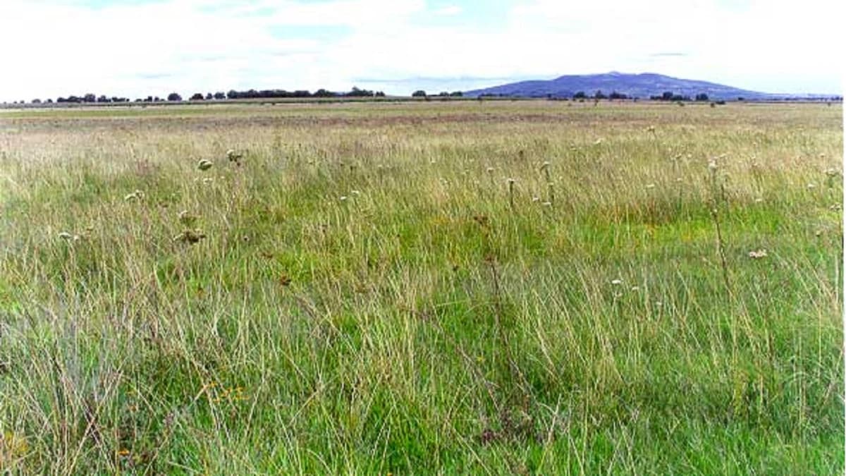 Primero sequía, ahora agua afecta a ganaderos