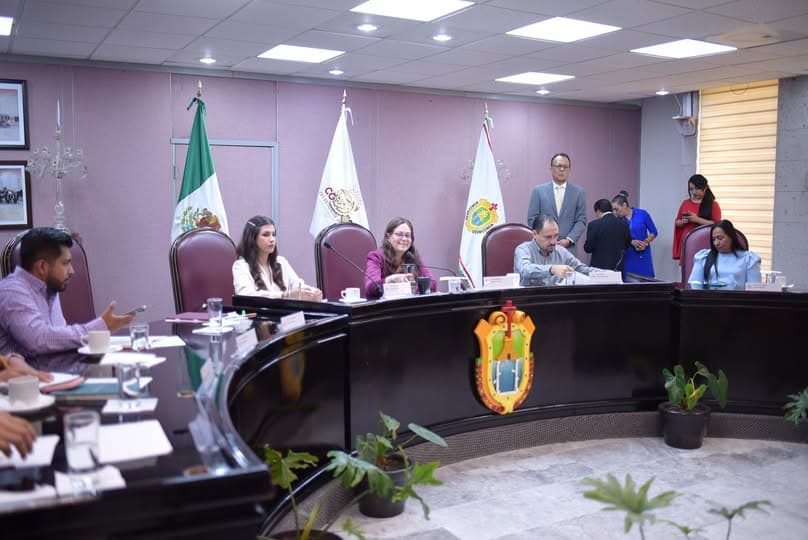 Plantean menos predial a quienes implementen azoteas verdes