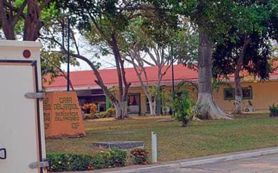 Sobrepoblada Casa del Árbol: DIF 