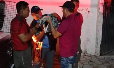 ImagenRescatan a flamingo agredido a pedradas en Cancún 