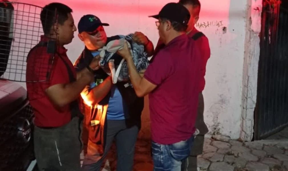 Rescatan a flamingo agredido a pedradas en Cancún 