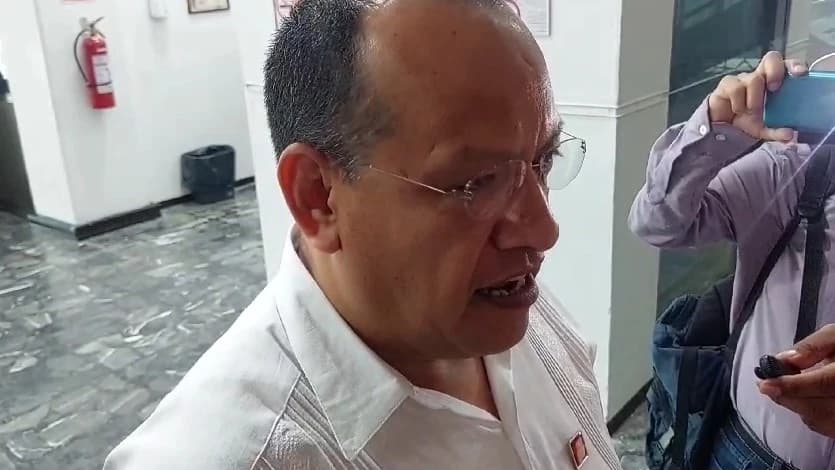 'No tengo cola que me pisen'