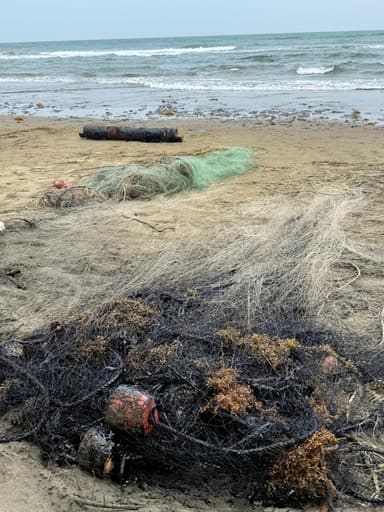 ImagenSigue investigación en sur de Veracruz por derrame de hidrocarburo: Nahle