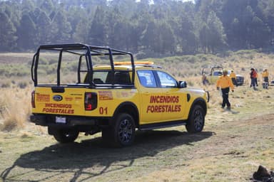ImagenReportan activo incendio en centro de Laguna Olmeca