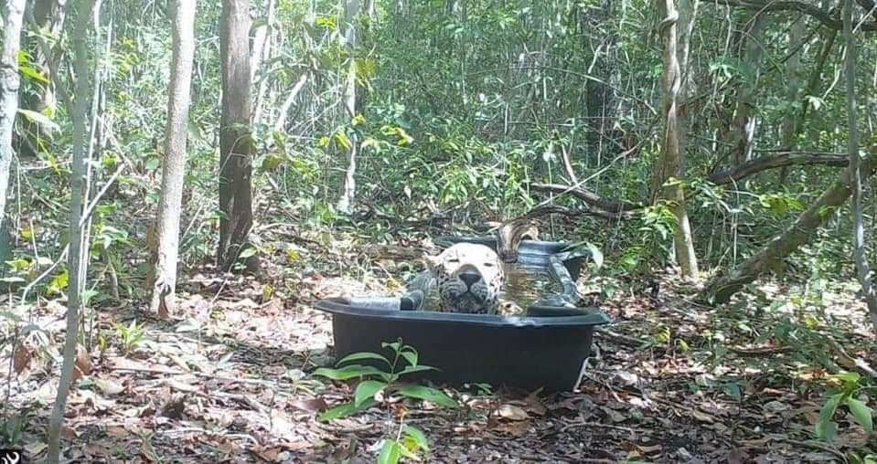 Alerta por sequía en Campeche