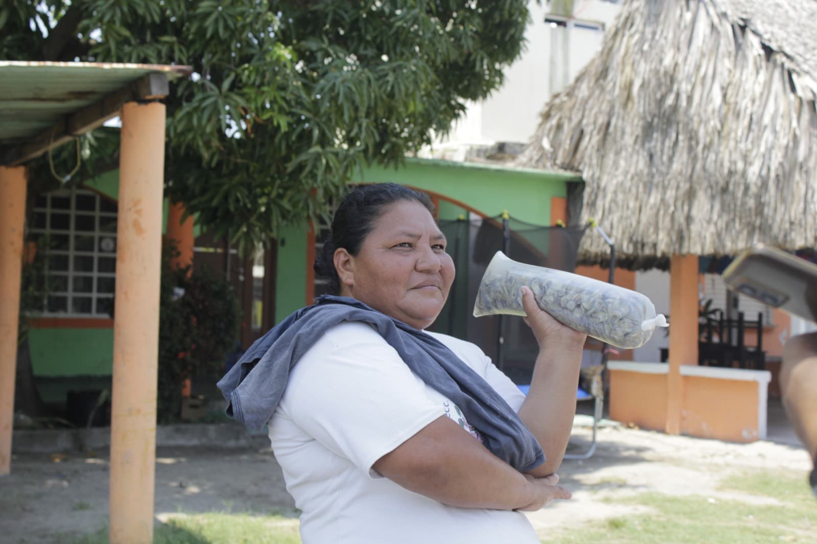 Derrame en Dos Bocas no perjudicó producción ostrícola: Vendedores