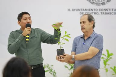 ImagenPromueven forestación urbana contra el cambio climático 