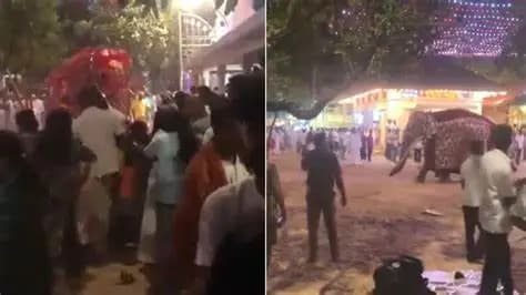 Elefante deja heridos durante procesión hindú