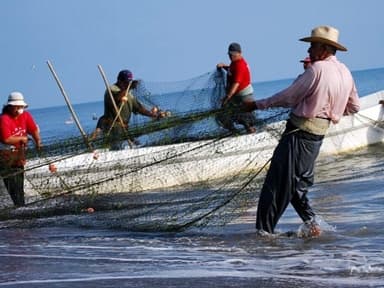 ImagenSector pesquero en Tabasco necesitaba reordinamiento: CONAPESCA