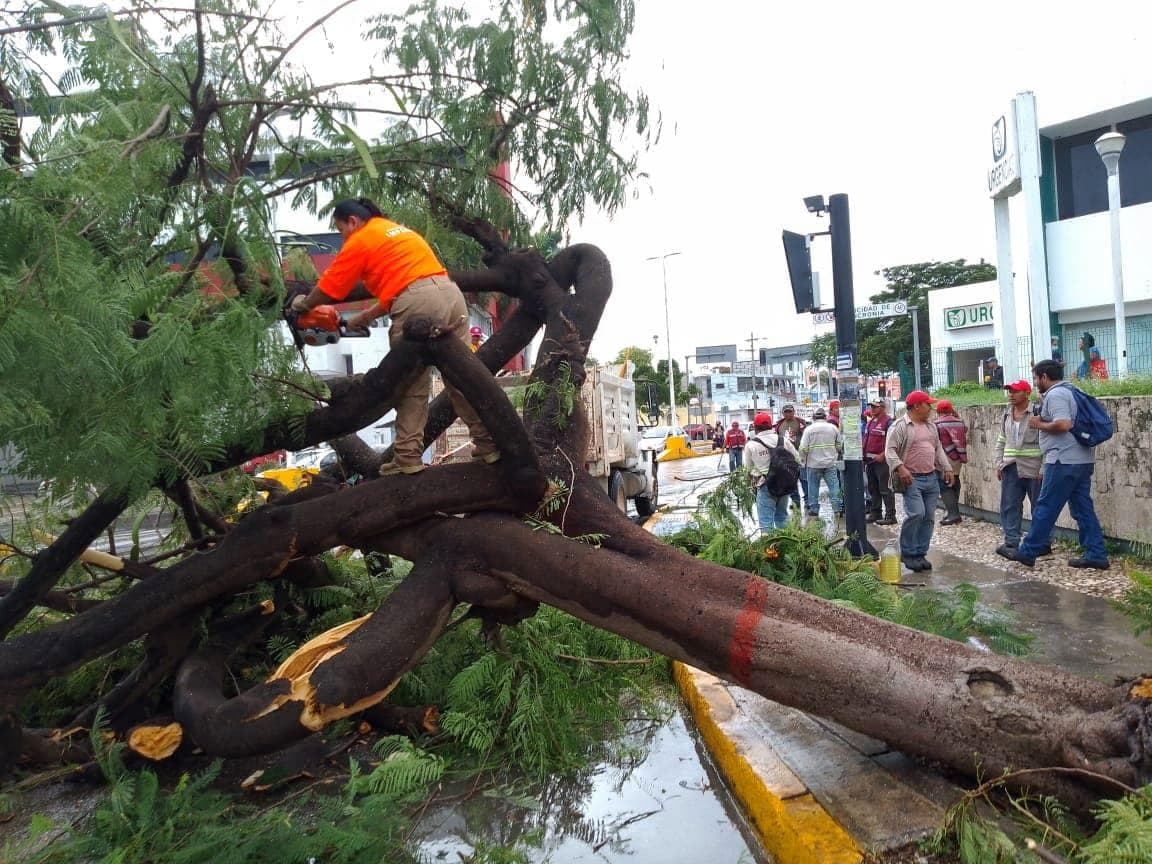 Huracán Milton causó estragos en Campeche
