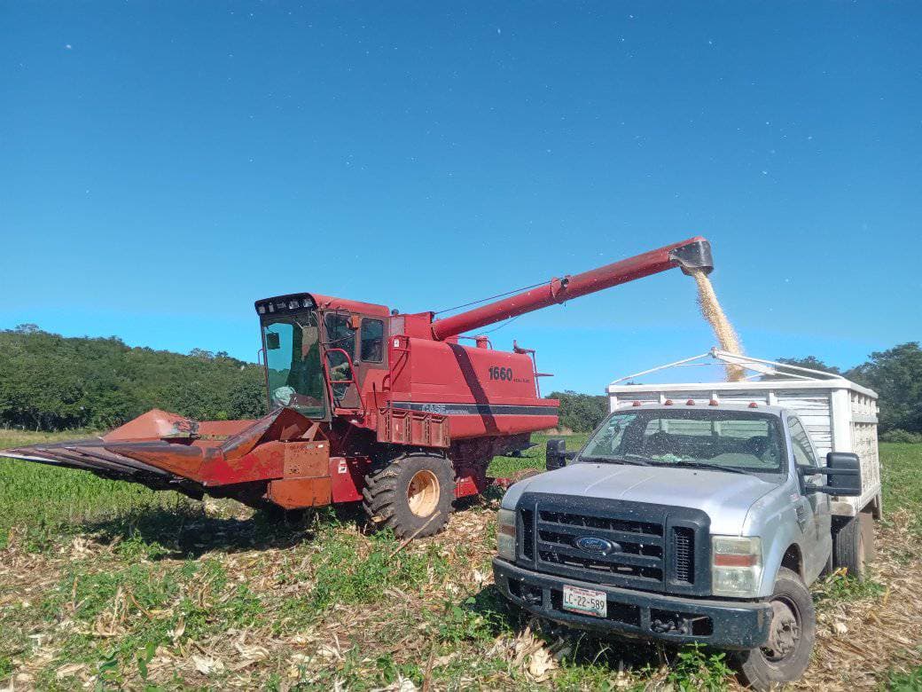 Logran acuerdos con productores de maíz en Campeche