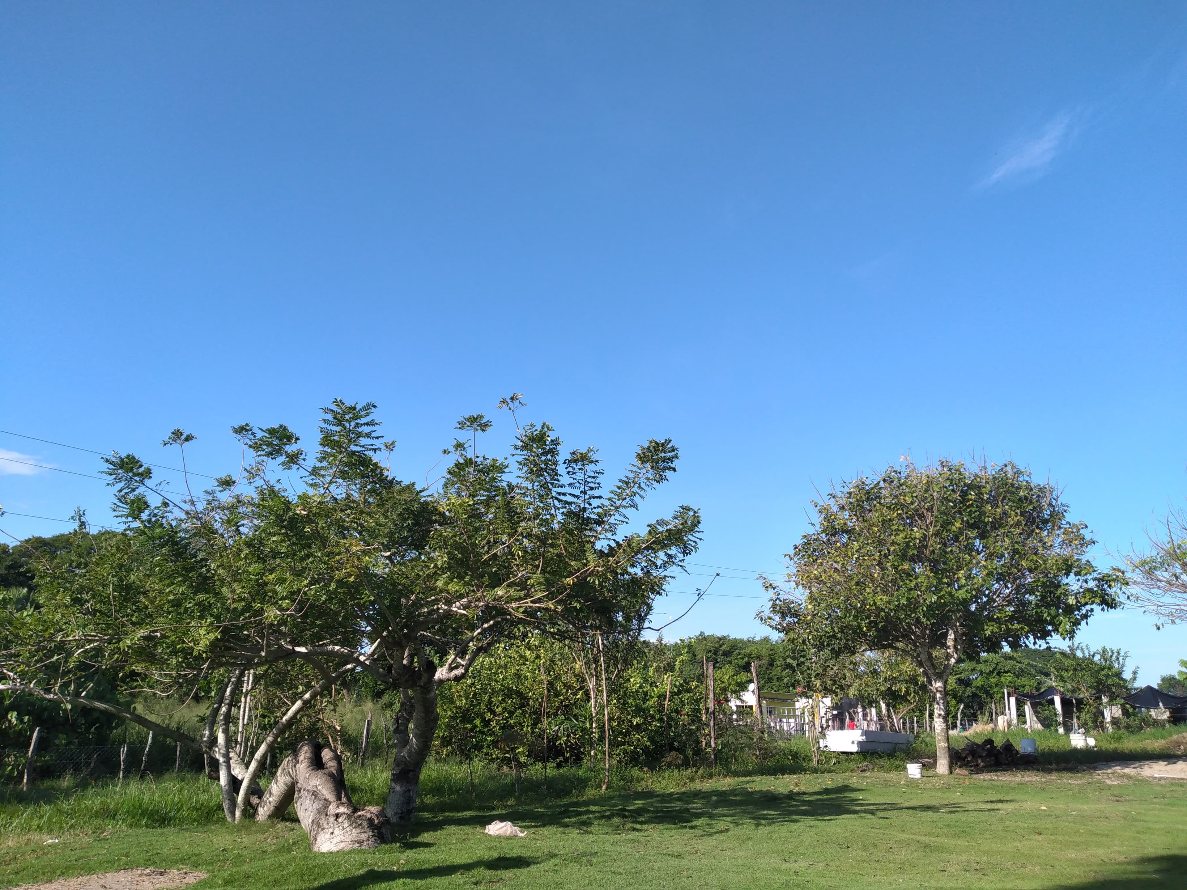 Este domingo estará soleado en la capital tabasqueña 