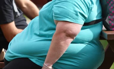 ImagenRevelan nueva generación de fármacos antiobesidad 