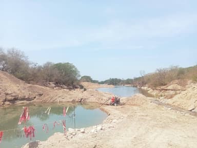 ImagenDenuncian daños irreversibles al medio ambiente por Tren