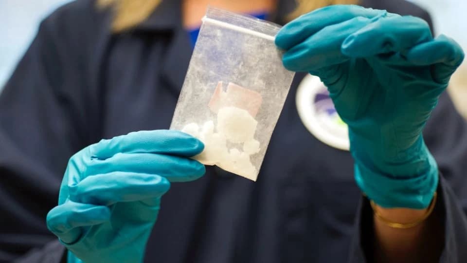 Cártel de Sinaloa y el CJNG se expanden a más continentes: DEA