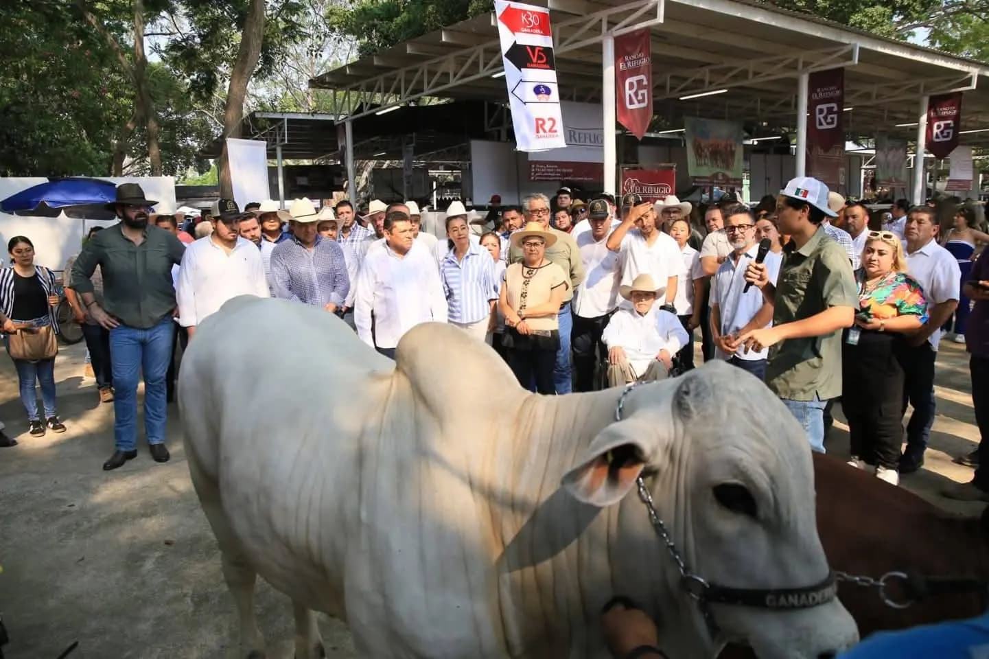 Registra Sedap gran afluencia de visitantes a Expo ganadera