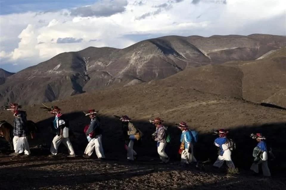 Busca ruta wixárika inscripción ante UNESCO