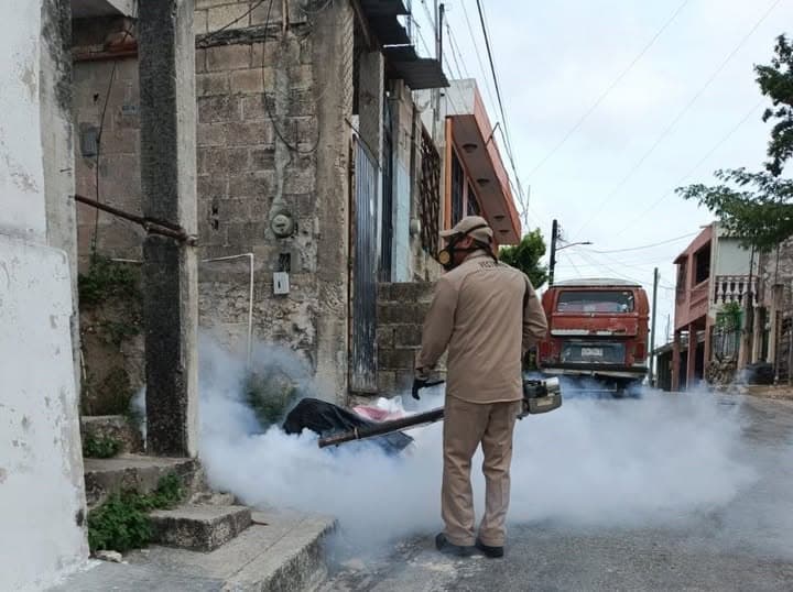 En Campeche intensifican combate al dengue por lluvias