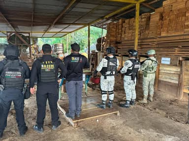 ImagenEjecutan cateos en Altamirano y Ocosingo por ecocidio