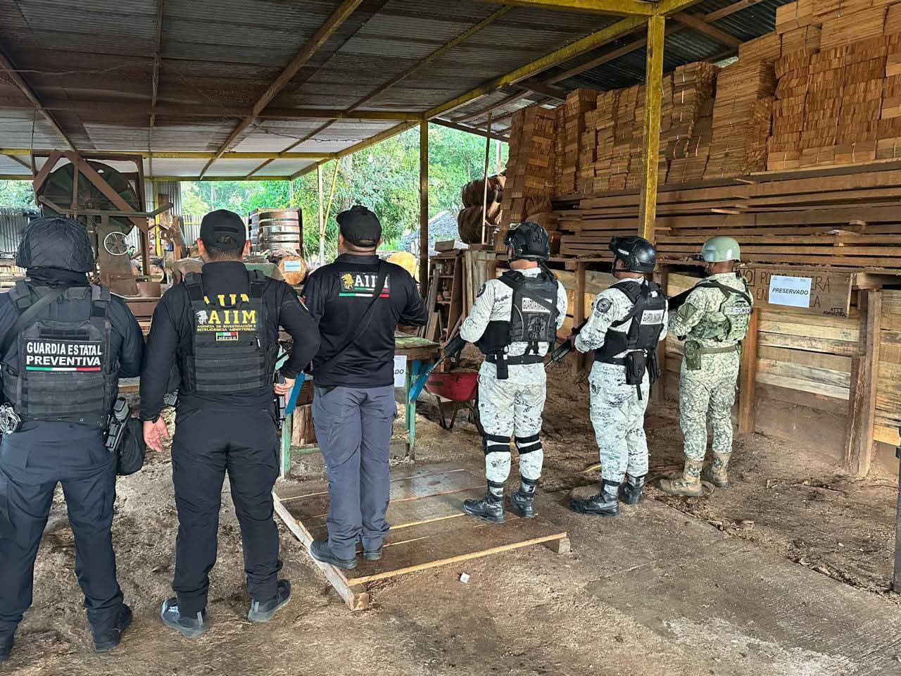 Ejecutan cateos en Altamirano y Ocosingo por ecocidio