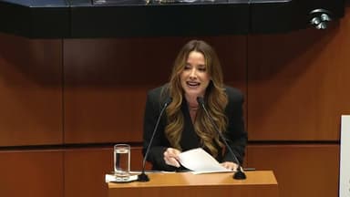 ImagenImpulsarán senadora tabasqueña agenda a favor de mujeres, niñez y adopciones