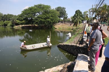 ImagenTras mortandad de peces en Laguna de las Ilusiones analizan causas