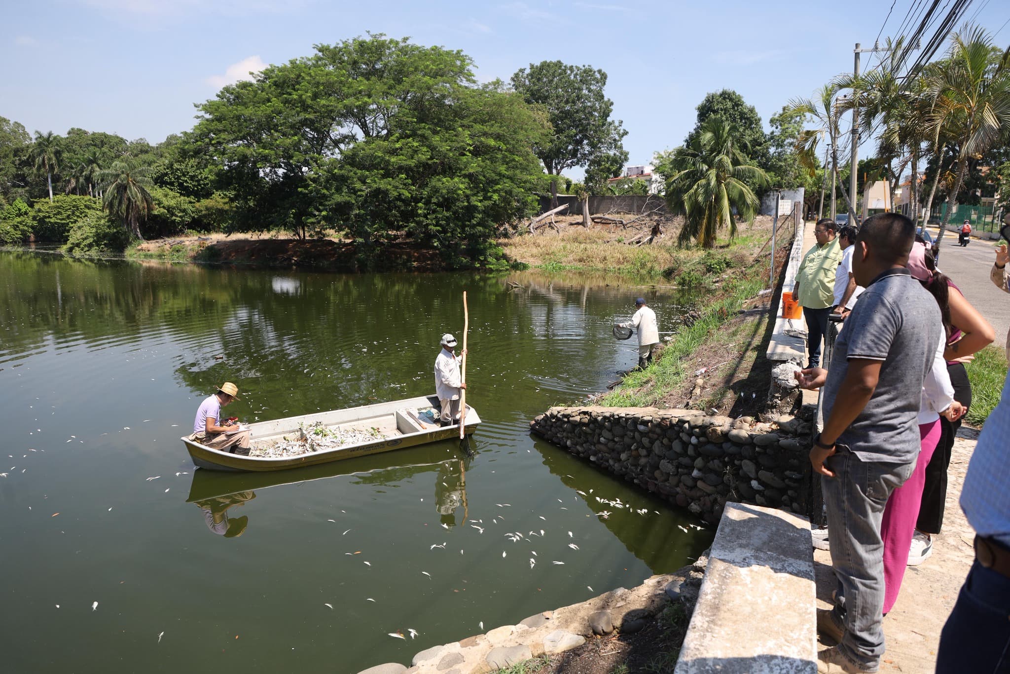 Tras mortandad de peces en Laguna de las Ilusiones analizan causas