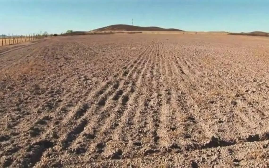 Campo tabasqueño olvidado: Organizaciones Campesinas